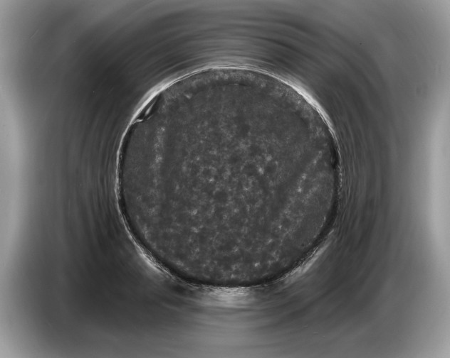 X0000086730845200704271629