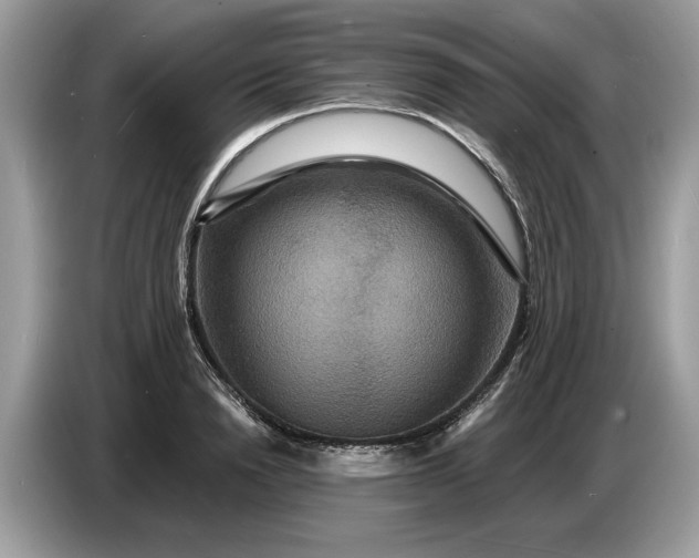 X0000086730846200704271629