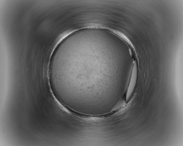 X0000086730847200704271629