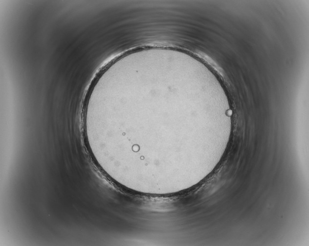 X0000086730848200704271629