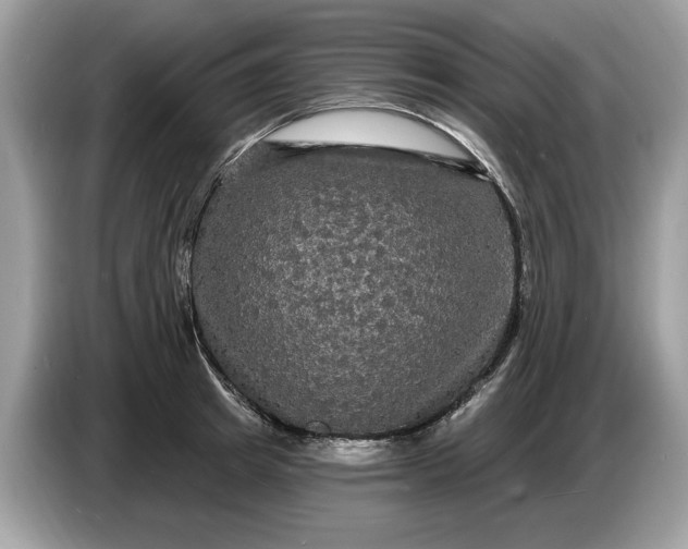 X0000086730849200704271629