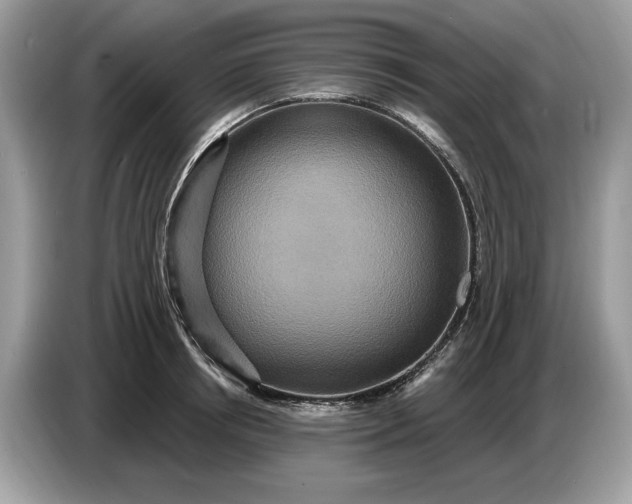 X0000086730850200704271629