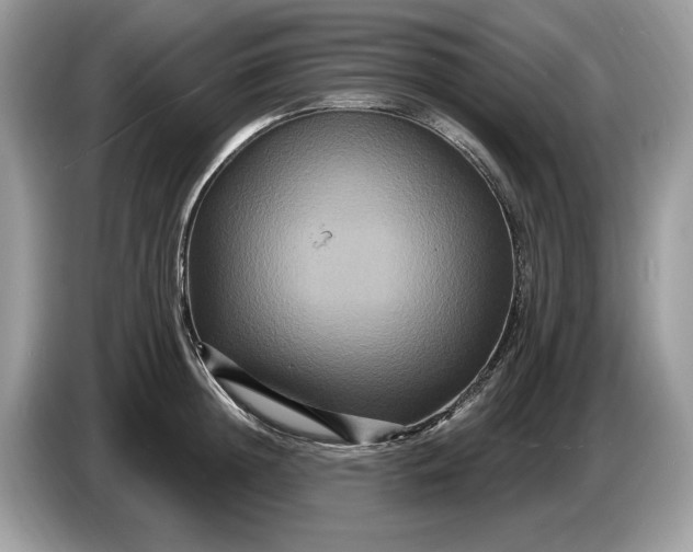 X0000086730852200704271629