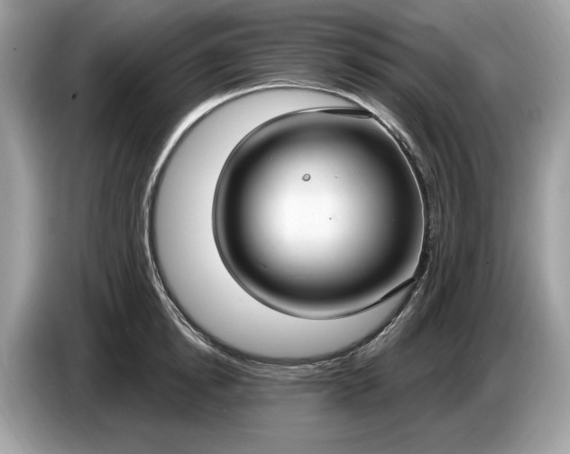 X0000086730854200704271629