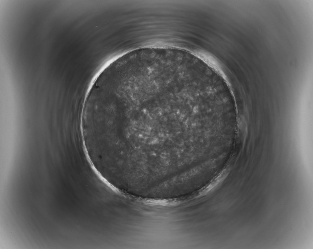 X0000086730855200704271629