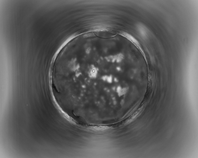 X0000086730859200704271629