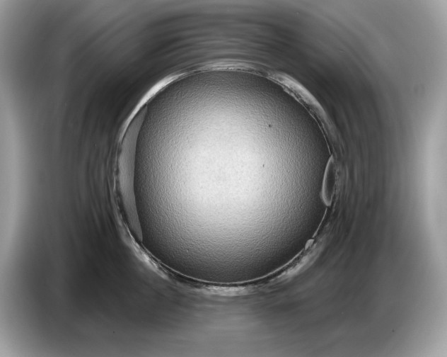 X0000086730860200704271629