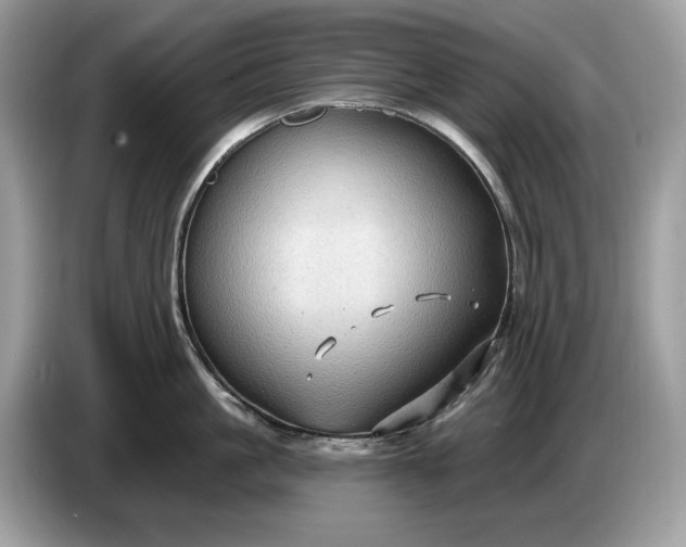 X0000086730861200704271629