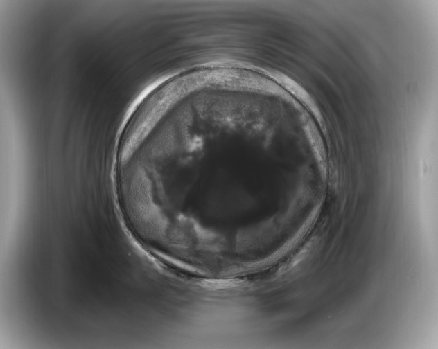 X0000086730863200704271629