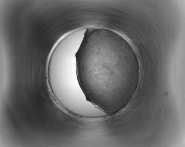 X0000086730864200704271629