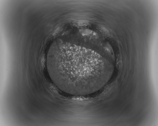 X0000086730866200704271628