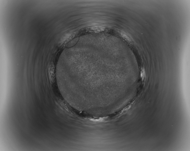 X0000086730867200704271628