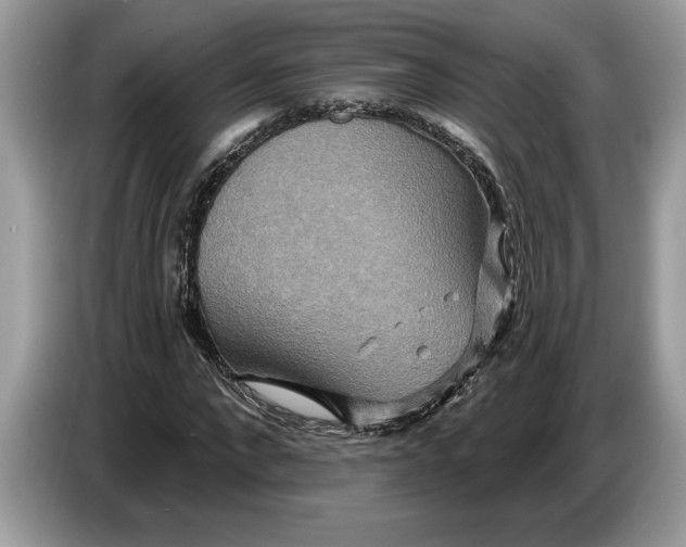 X0000086730872200704271628