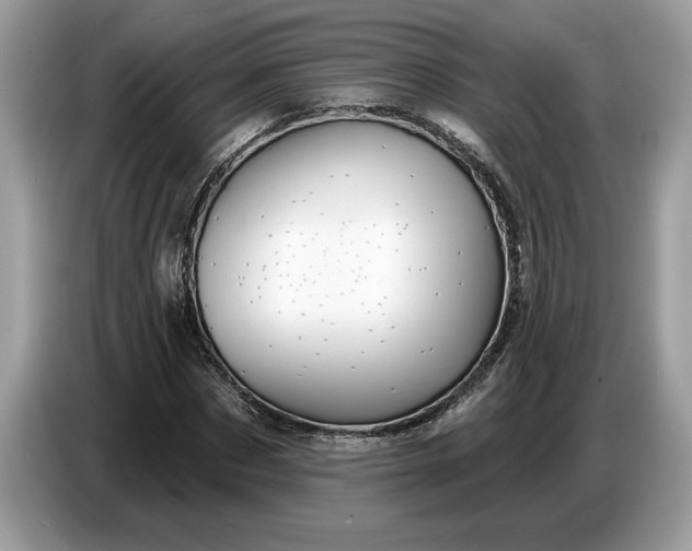 X0000086730873200704271628