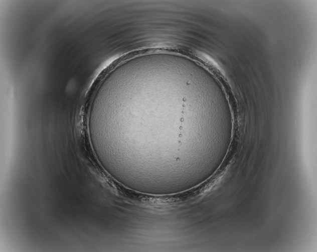 X0000086730875200704271628