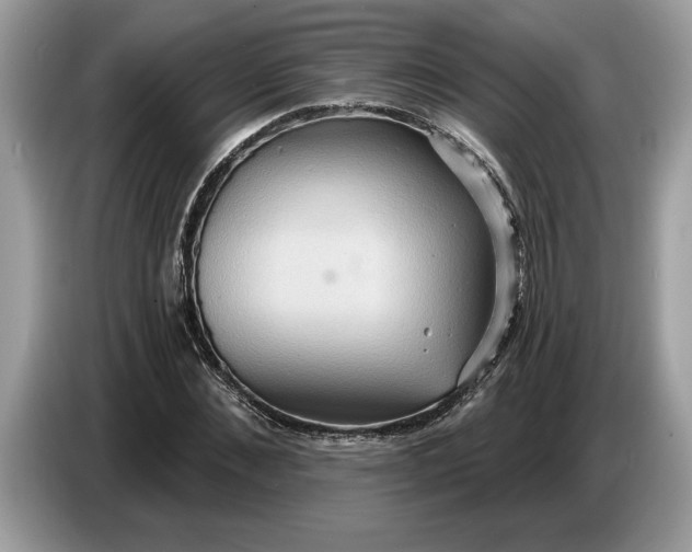 X0000086730876200704271628