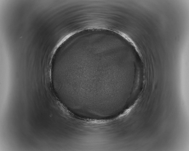 X0000086730877200704271628