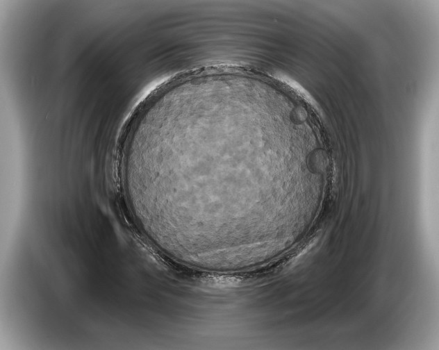 X0000086730878200704271628