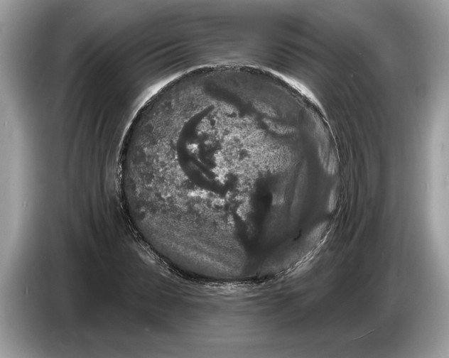 X0000086730879200704271628