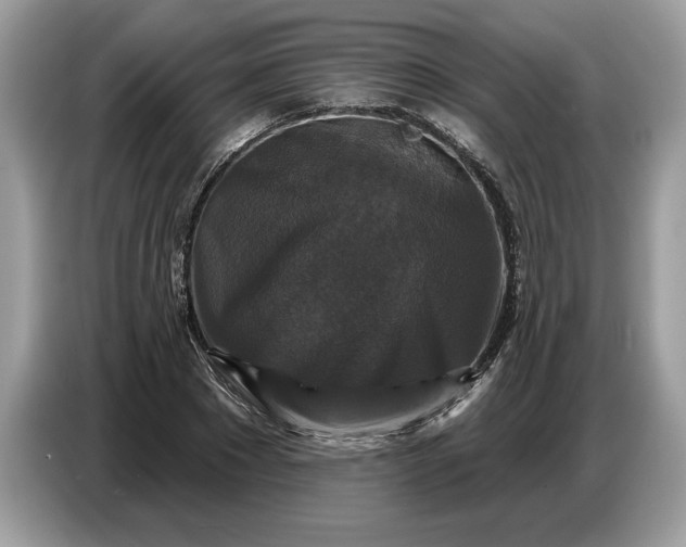 X0000086730881200704271628