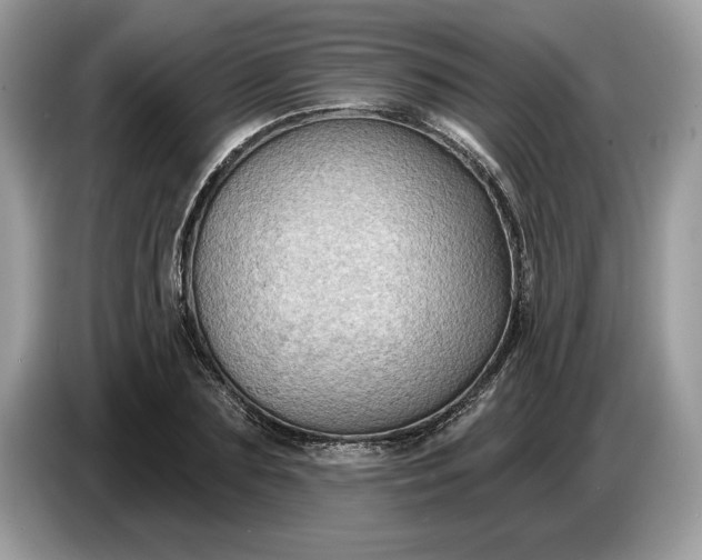 X0000086730883200704271628