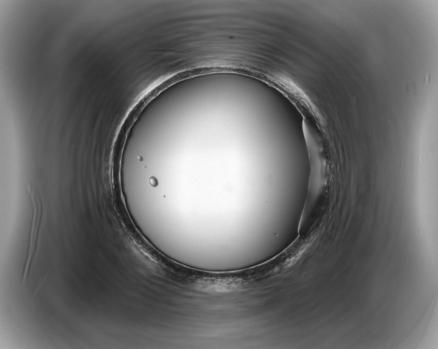 X0000086730884200704271628