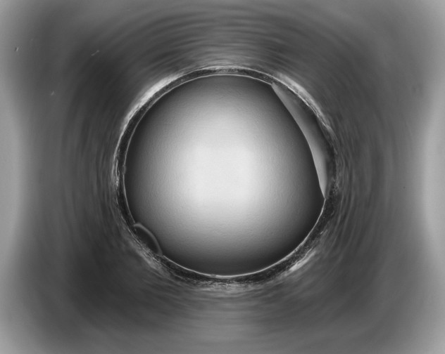 X0000086730885200704271628