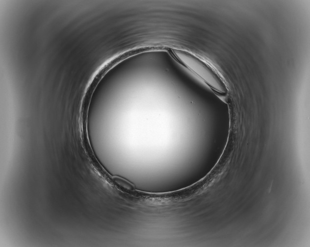 X0000086730888200704271628