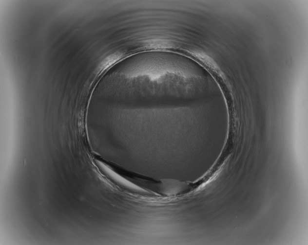 X0000086730889200704271628