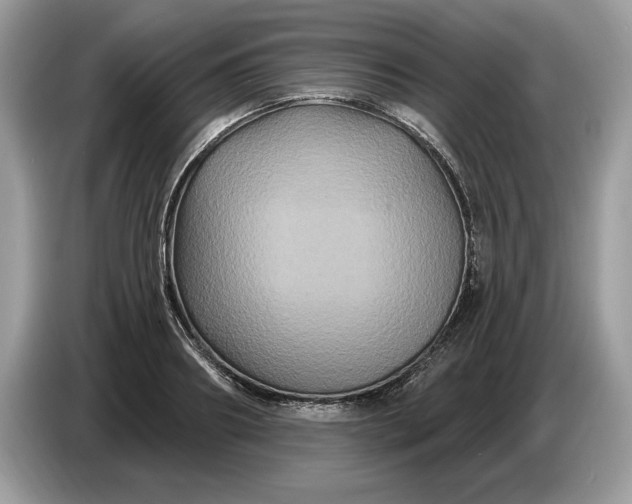 X0000086730890200704271628