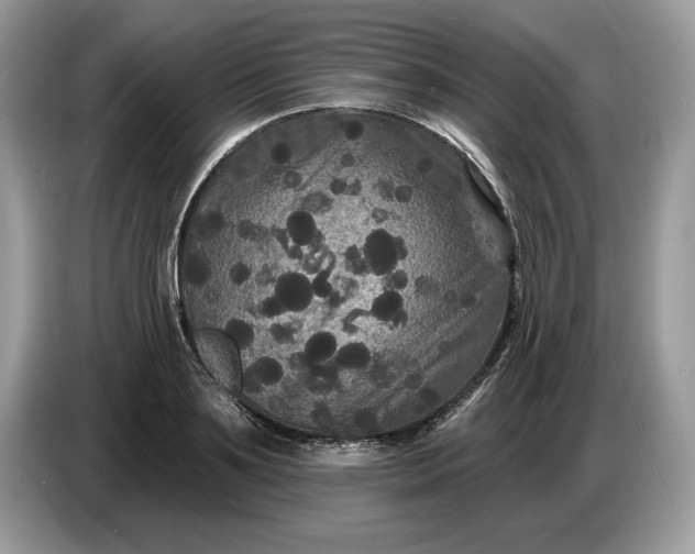 X0000086730891200704271628