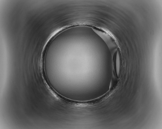 X0000086730894200704271628