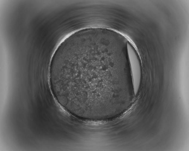 X0000086730895200704271628