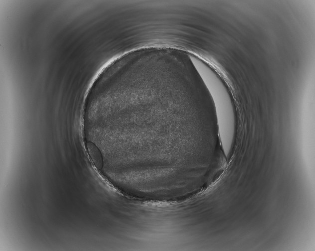 X0000086730896200704271628