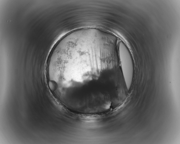 X0000086730899200704271628