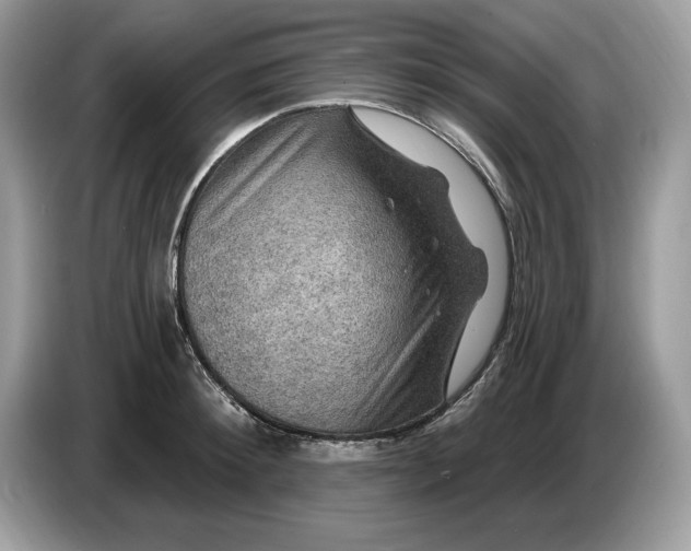 X0000086730900200704271628