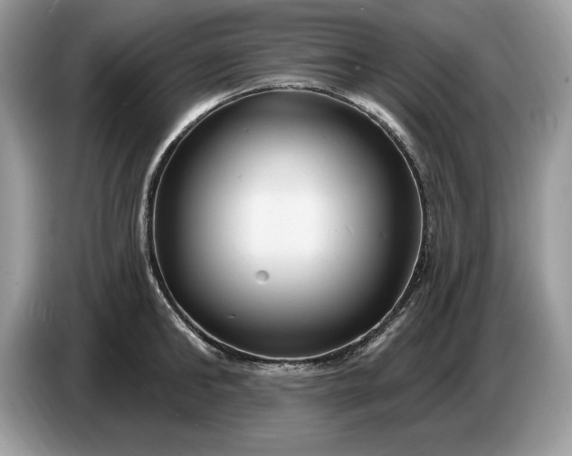 X0000086730902200704271628