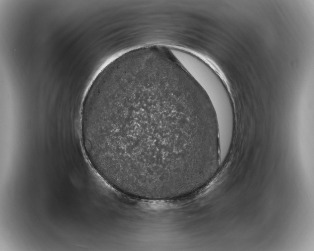 X0000086730903200704271628