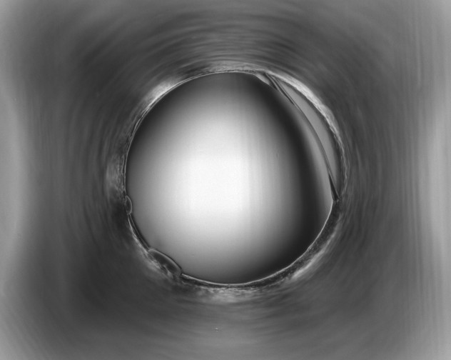 X0000086730905200704271628