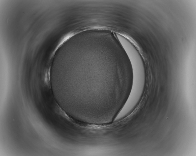 X0000086730910200704271628