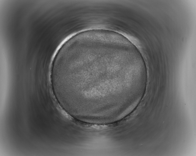 X0000086730912200704271628