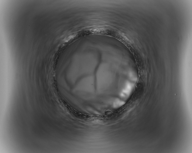 X0000086730913200704271627