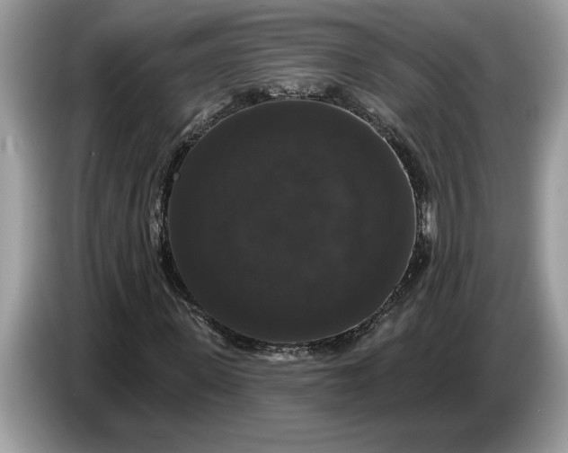 X0000086730915200704271627