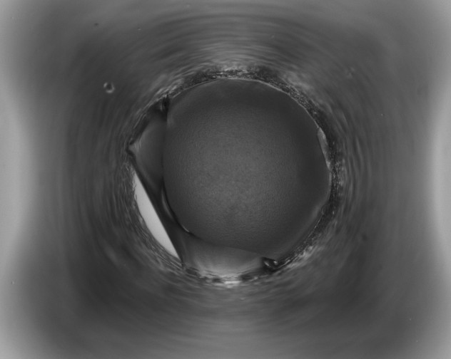 X0000086730916200704271627