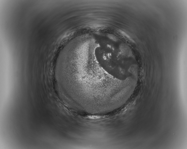 X0000086730917200704271627