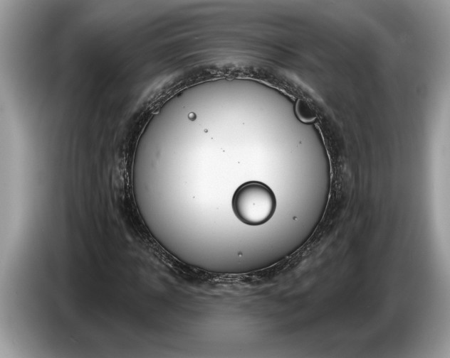 X0000086730918200704271627