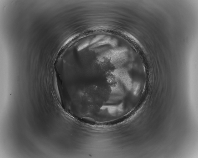 X0000086730921200704271627