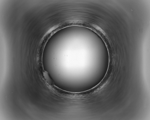 X0000086730922200704271627