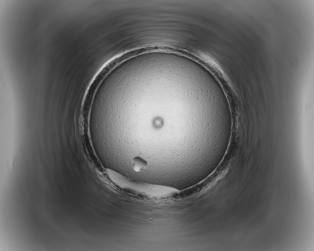 X0000086730924200704271627