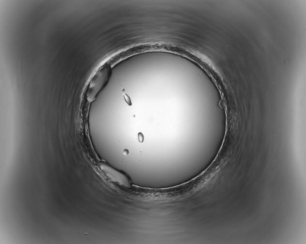 X0000086730927200704271627